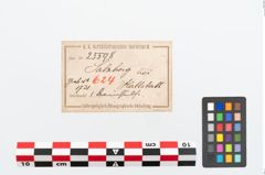 Etikett zu Beinbüchse (NHMW-PRAE-025598)
